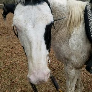 Meet your Posher, Clay